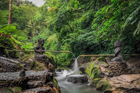 Bali: Taro Village and Holy Spring Water Temple Tour