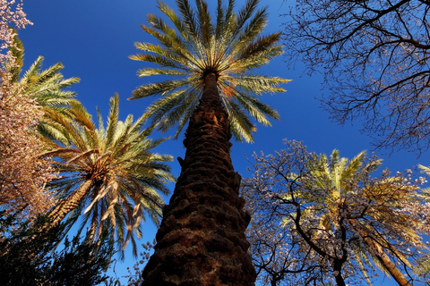 Trilha histórica e natural - Nakhal e Wakan Village