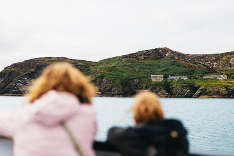 Dublin: Howth Cliffs and Lighthouse Cruise