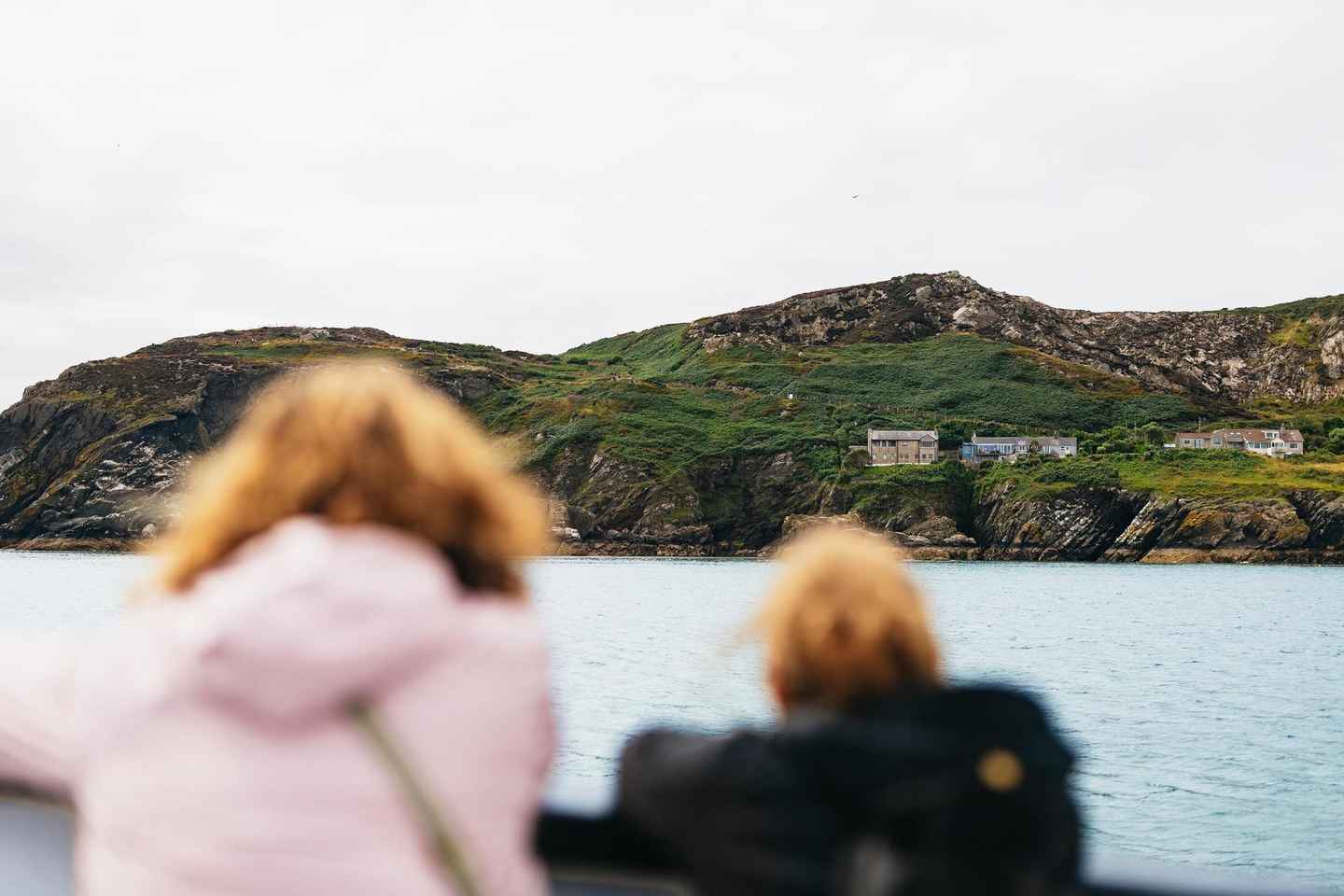 Dublin: Howth Cliffs and Ireland's Eye Coastal Cruise