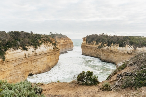Z Melbourne: wycieczka jednodniowa Great Ocean RoadZ Melbourne: Great Ocean Road i 12 Apostles Tour