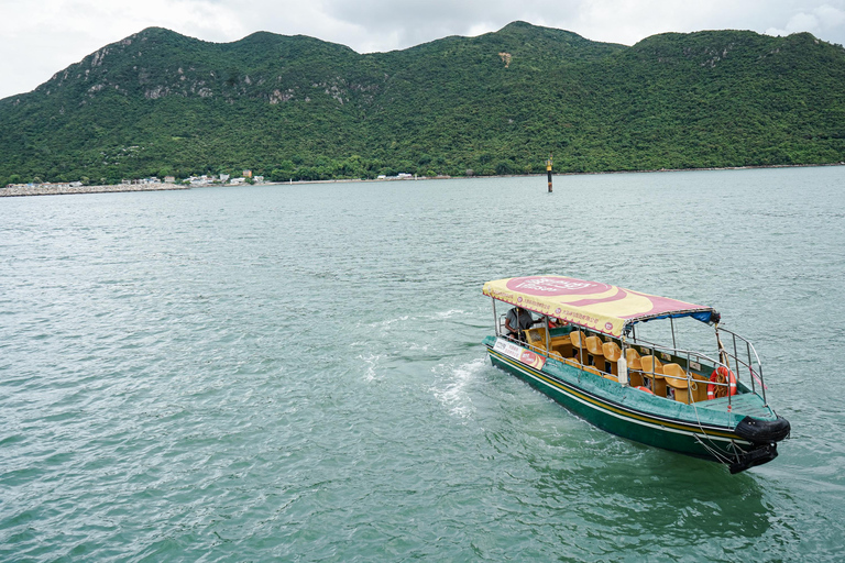Hongkong: Big Buddha &amp; Lantau Island Tour met kabelbaanAlleen Big Buddha &amp; Po Lin-klooster