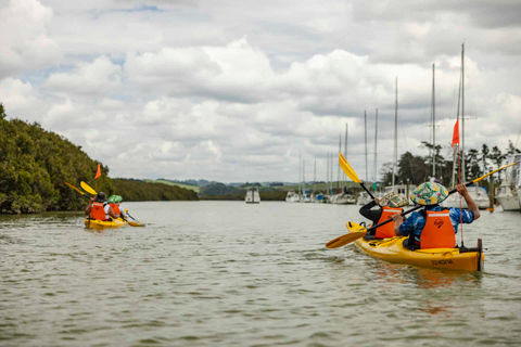 Hallertau Clevedon Kajaktour