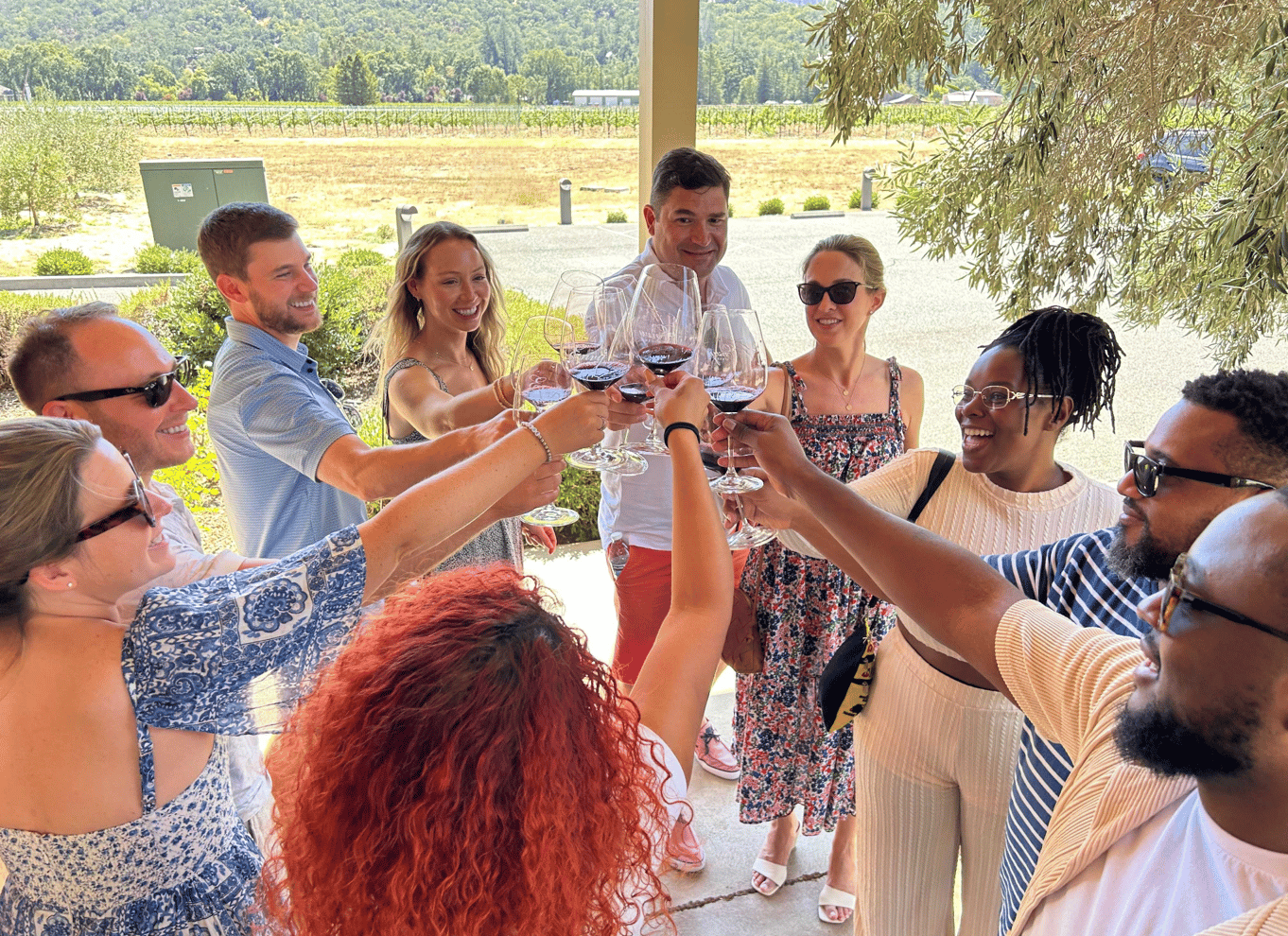 Napa Valley: guidet vintur med picnicfrokost
