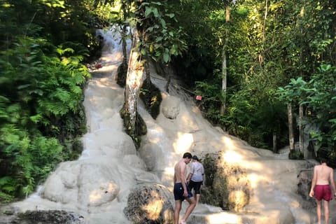 Doi Suthep-Tempel & Klebriger Wasserfall & Pha Lat-Tempel
