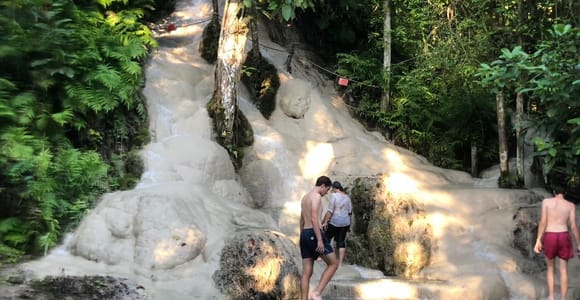 From Chiang Mai: Temples, Sticky Waterfall, and Orchid Farm
