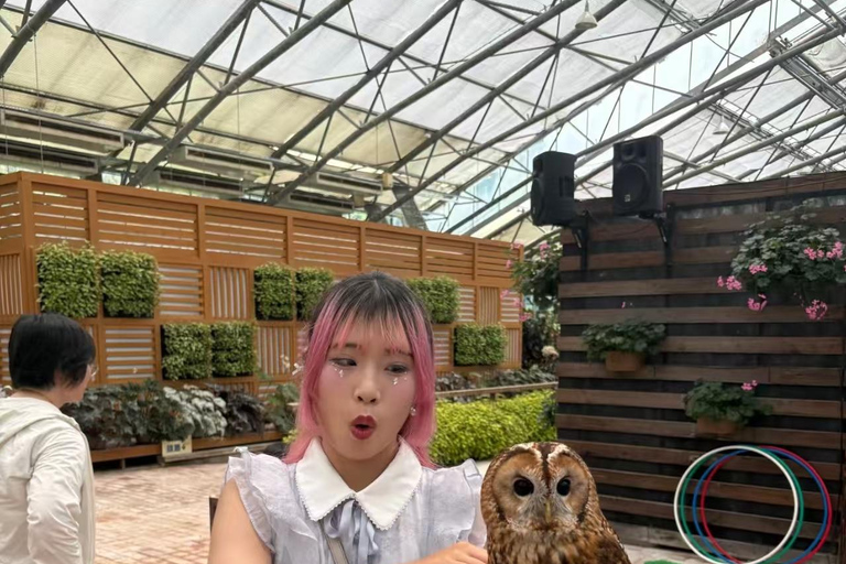 Nagoya: Higashiyama Zoo & Sky Tower Combo Ticket
