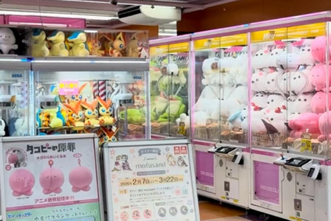 Akihabara Private Tour: Anime, Maid Café & Japanese Culture