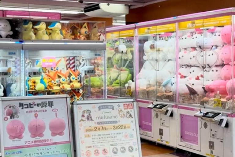 Akihabara Private Tour: Anime, Maid Café & Japanese Culture