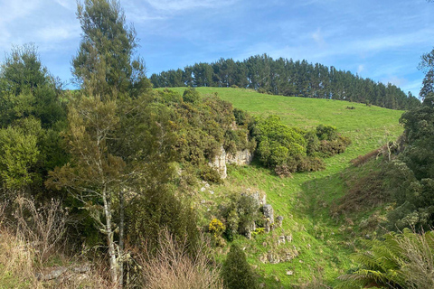 Desde Auckland Excursión Privada al Explorador de Cuevas y Luciérnagas de Waitomo