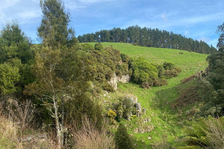 Vanuit Auckland Waitomo Glowworm &amp; Grot Ontdekkingsreis Privétour