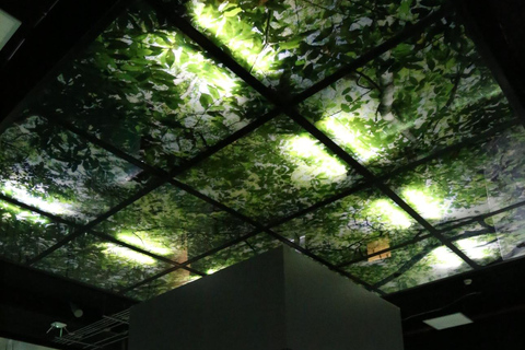 San Jose: Jade Museum & Pre-Columbian Culture Entry Ticket