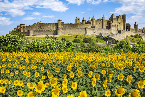 Carcassonne: City Audio Guide + Castle & Ramparts Ticket Carcassonne: Castle & Ramparts Ticket + City Audio Guide