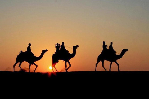 Marrakech: Agafay Desert Tour with Dinner, Camel Ride &amp; Show