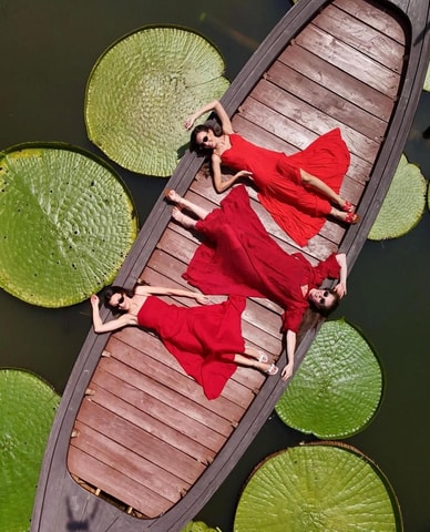 Phuket: Giant Water Lily Pond Options Drone Video+Old Town