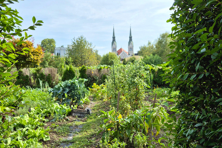 Ljubljana: Off the Beaten Path Guided Walking Tour Ljubljana: Off the Beaten Path - Stories and Flavours
