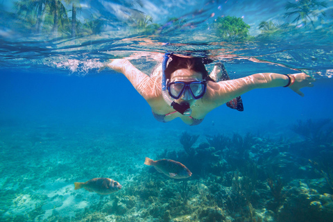 Malta: Veerboot heen en terug naar Comino Blue Lagoon met Gozo OptieVan Marfa: Marfa-Comino-Blauwe Lagune-Marfa