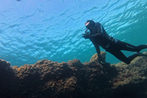 Snorkeling on the Côte Bleue
