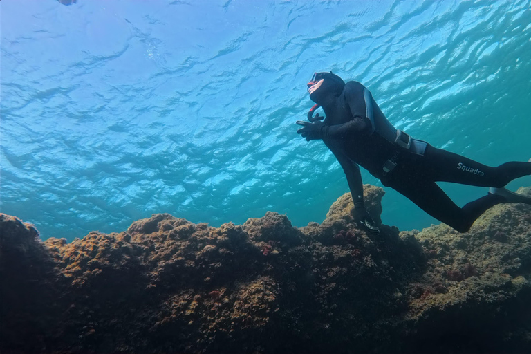 Snorkeling on the Côte Bleue