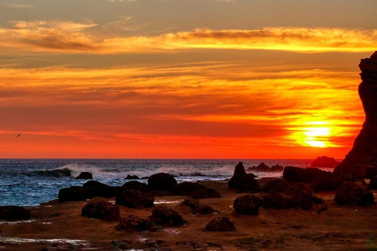 From Ica: Paracas Tour - Ballestas Islands