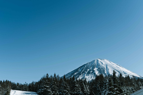 From Tokyo: Fujiyama Snow Resort Yeti Winter Ski Day Tour D (SNOW SLED): meeting at Shinjuku