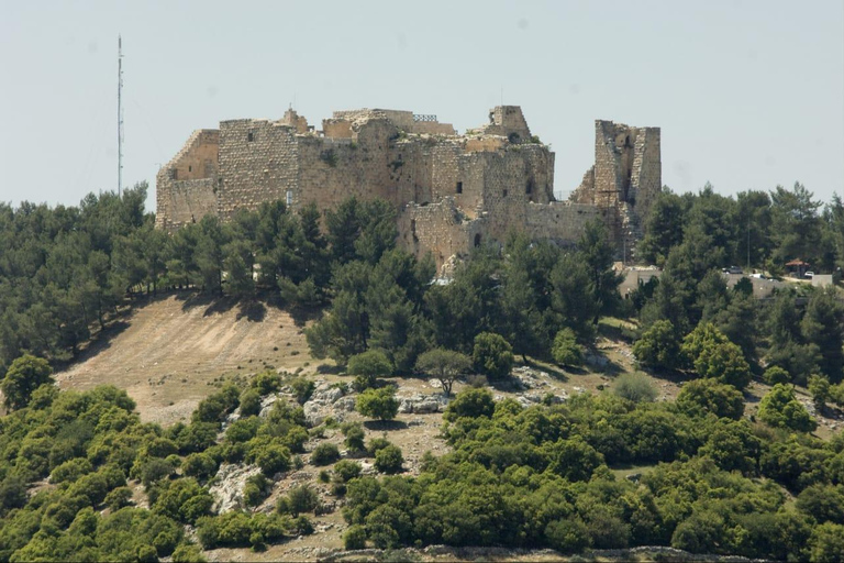 Jerash, Ajloun & Amman: Jordan's Top Highlights
