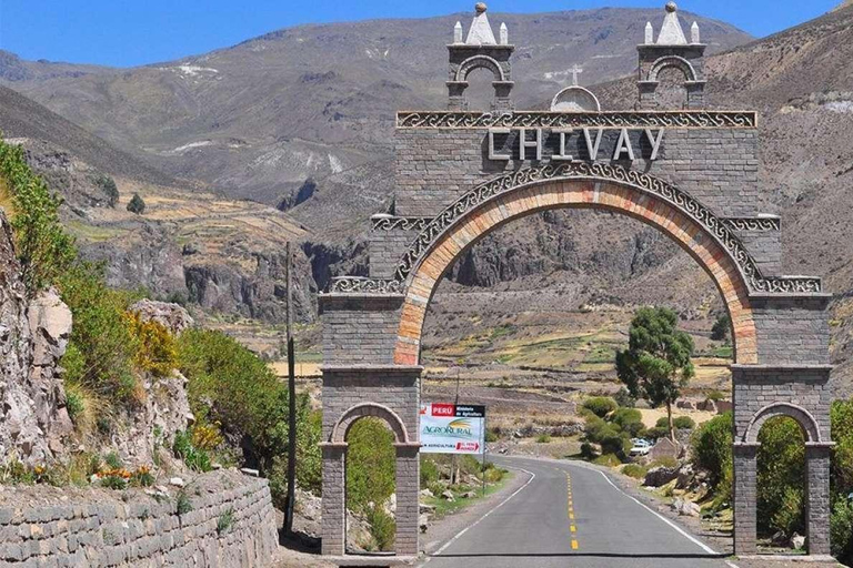 Excursion d&#039;une journée au Canyon de Colca + transfert à Puno avec repas