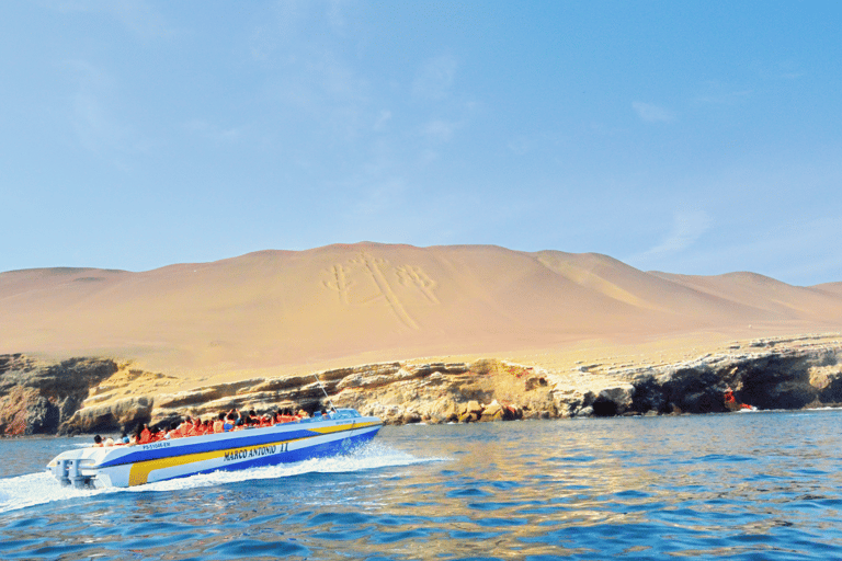 From Lima: Paracas, Ica, and Huacachina Day Tour