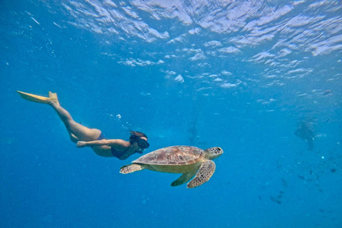 Private Snorkeling Trip To Gili Trawangan,Gili Meno,Gili Air Pick up from : Senggigi Area/Mataram Area
