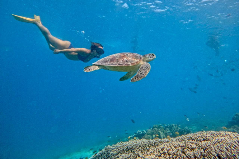 Private Snorkeling Trip To Gili Trawangan,Gili Meno,Gili Air Pick up from : Senggigi Area/Mataram Area