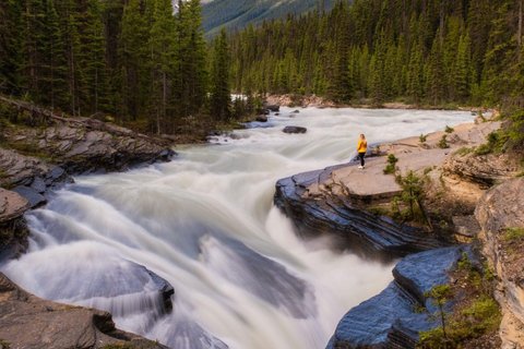 Ijsveld :Crowfoot gletsjer,Bow-Peyto meer &amp;Marble Canyon