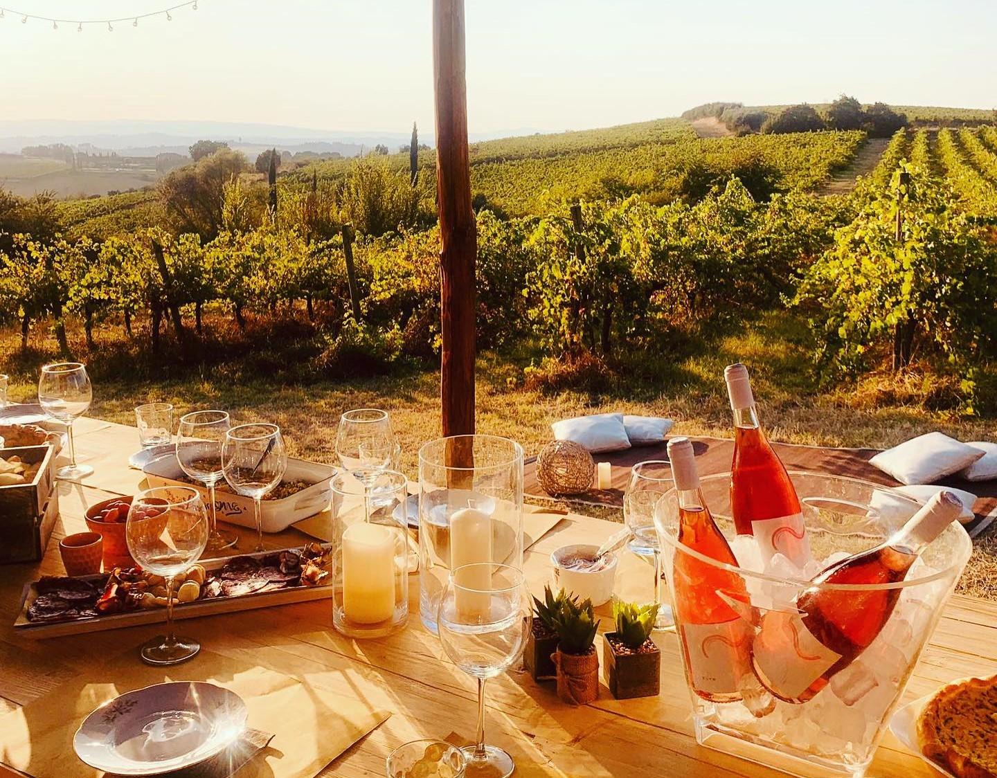 Cortona: Verkostung von Bio-Weinen in den Weinbergen von Colle Acacia