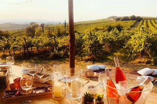 Cortona : dégustation de vins biologiques dans les vignobles de Colle Acacia