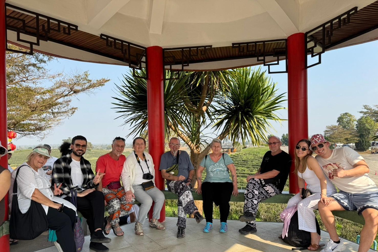 Chiang Rai:Guided Highlights Full-Day Tour-FREE LUNCH BUFFET Experience the Wonders of Chiang Rai with Free Thai Buffet