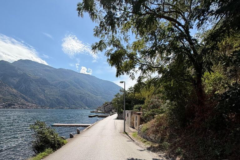 Explore Kotor: Old Town Walk & Bay Coast Bike Tour