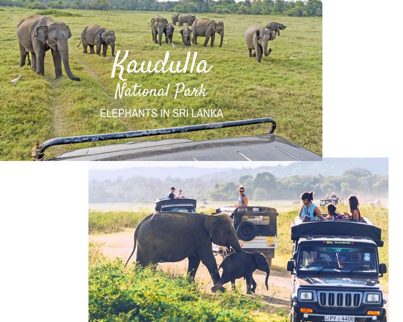 Safari Por El Parque Nacional De Kaudulla | GetYourGuide