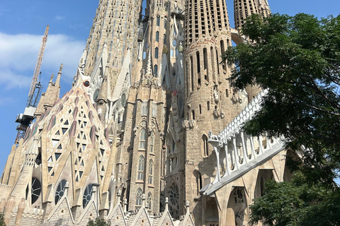 Sagrada Familia Priority Access Guided Tour: Small group