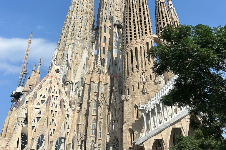 Sagrada Familia Priority Access Guided Tour: Small group