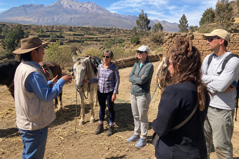 Arequipa: Horseback Riding Tour with Volcano Views Private Arequipa: Horseback Riding Tour with Volcano Views