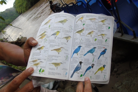 Excursión al Bosque Nuboso de Mindo y Circuito de Observación de AvesExcursión al Bosque Nuboso de Mindo y Circuito de Observación de Aves-Tickets y almuerzo