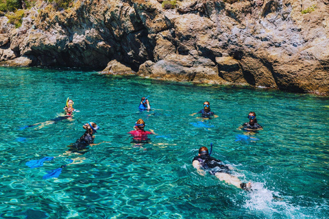 Ischia: Guided Snorkeling among Caves and Submerged Ruins