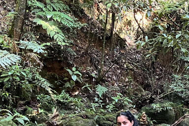 Rio's Hidden Gems: Waterfalls, Caves, and Wildlife