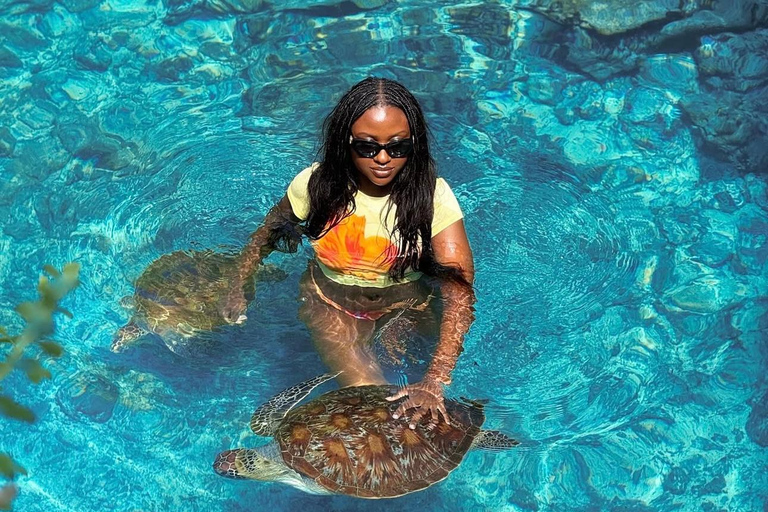 Zanzibar: las Jozani i jaskinia Salaam z odbiorem z hoteluWYCIECZKA PRYWATNA: z odbiorem z hotelu ze WSZYSTKICH HOTELI na Zanzibarze