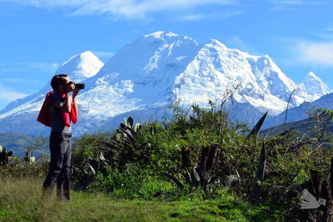 Depuis Huaraz : Lagunes et montagnes 3D | Entrée + déjeuner |