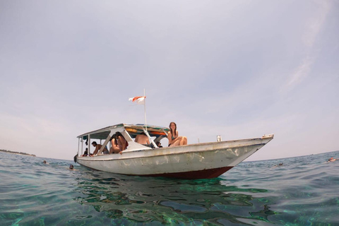 Gili Trawangan: Privat snorklingstur 2 timmar 3 platser + GOPRO