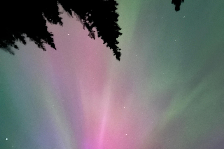 Banff Night Sky: Northern Lights and/or Stargazing Tour