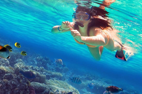 Fauna salvaje de Sri Lanka: tour de lujo de 10 días con todo incluido