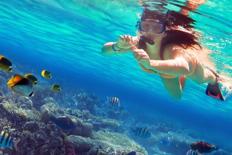 Fauna salvaje de Sri Lanka: tour de lujo de 10 días con todo incluido