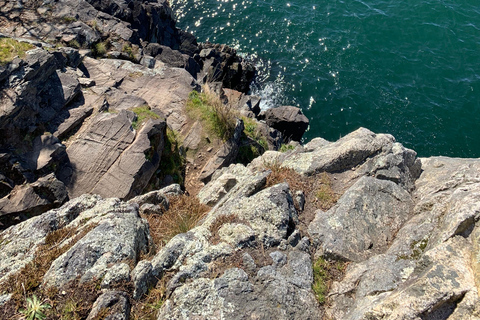 Vancouver: Lighthouse Park HikeLighthouse Park Hike