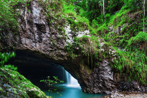 Spring Brook National Park Driving Tour with an APPSpring Brook National Park Self Guided Driving Tour